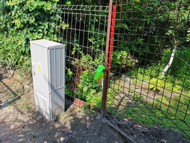Jaka odległość skrzynki elektrycznej od granicy działki? Uniknij problemów!